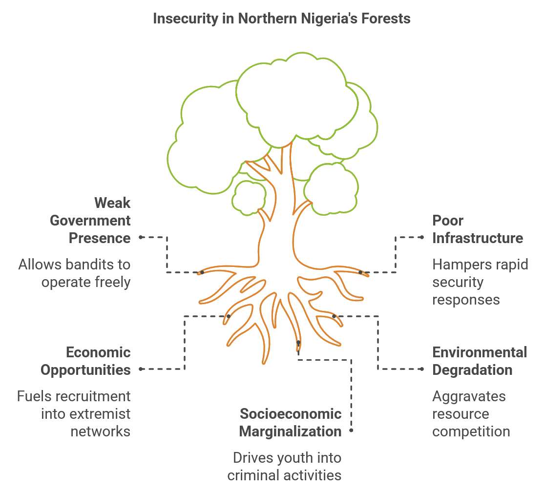 insecurity in northern nigeria forest